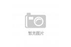 P CameraAG真人国际TO